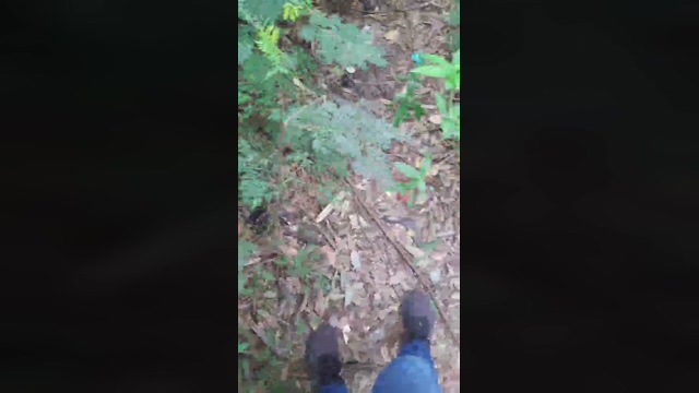 Synbaherrera  31-03-2022
